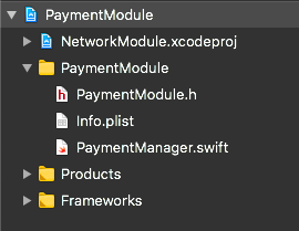 payment module project structure